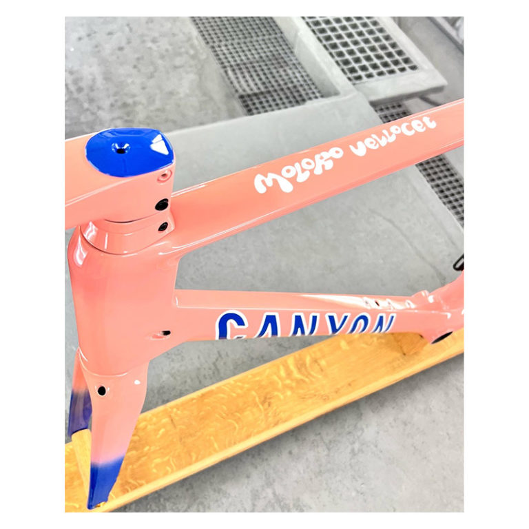 Manner-Bike-Project-Frame-Custom-Paint-Fading-800x800-front